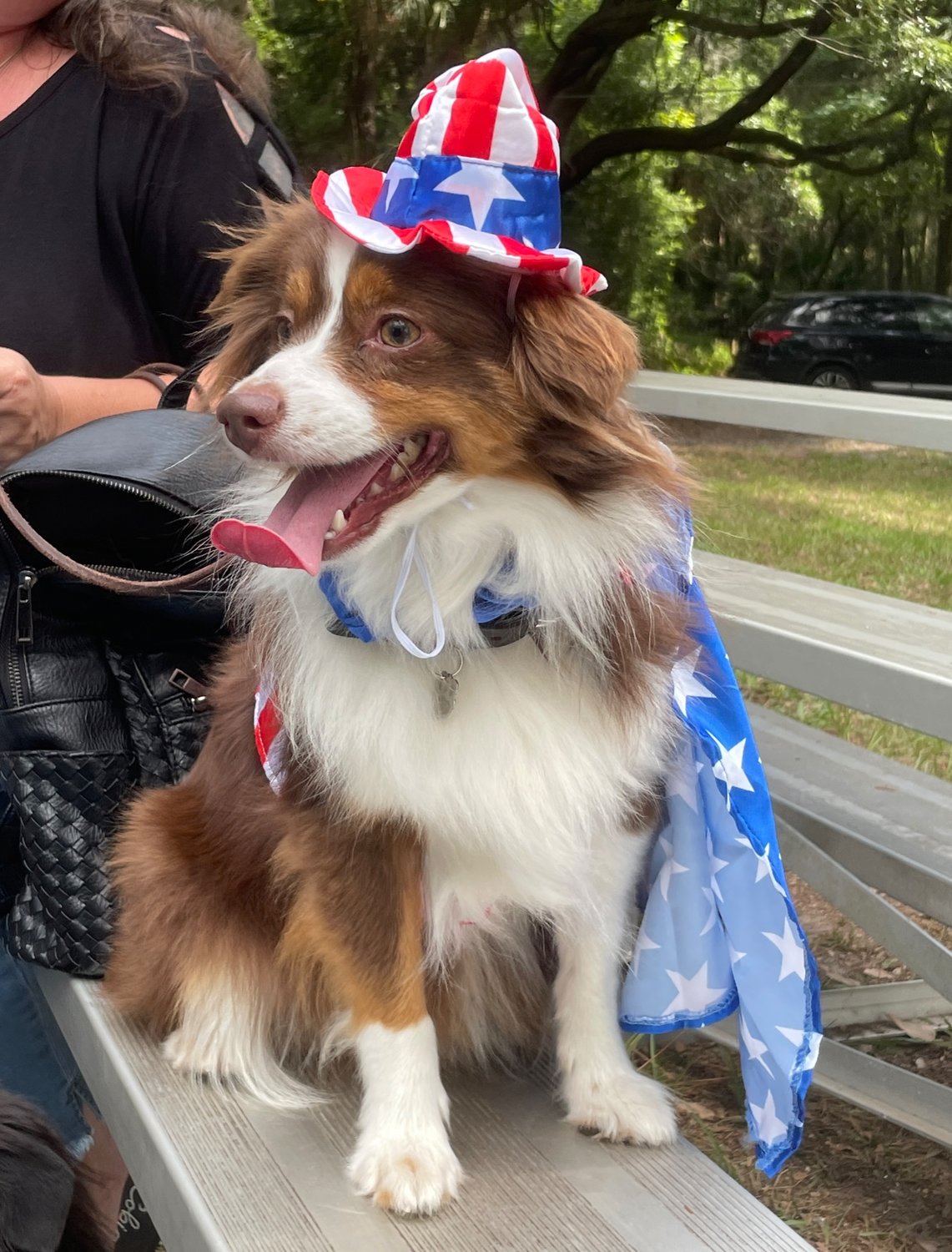 Dogs showed their patriotic flare during the event.
